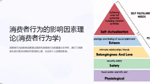 消费者行为的影响因素理论(消费者行为学)