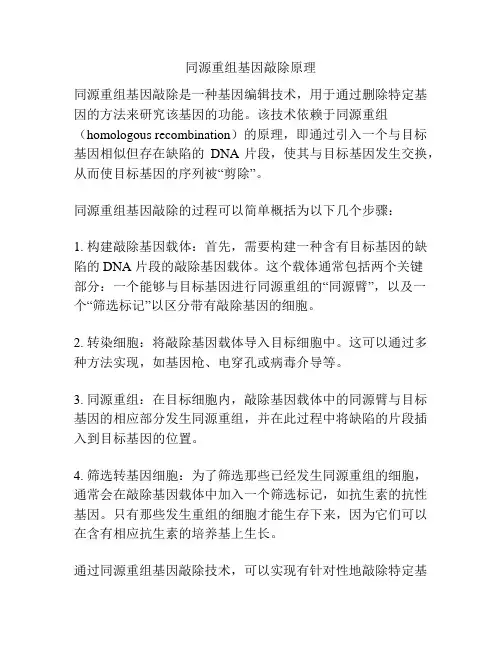 同源重组基因敲除原理