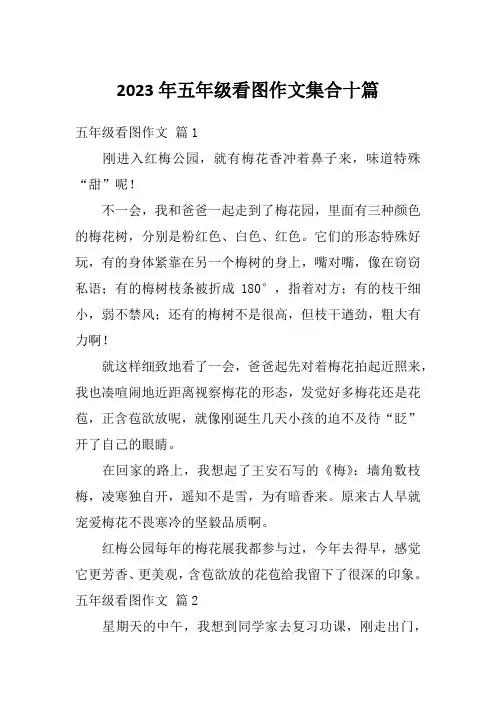 2023年五年级看图作文集合十篇