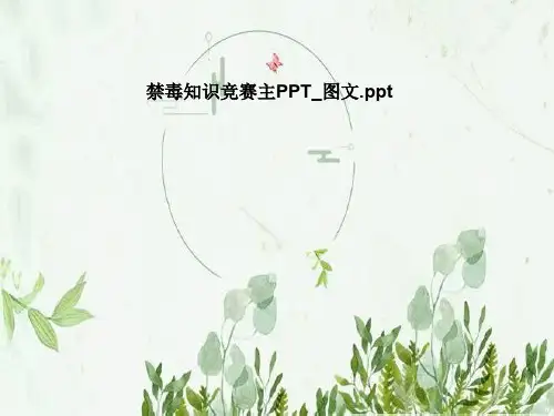禁毒知识竞赛主PPT_图文