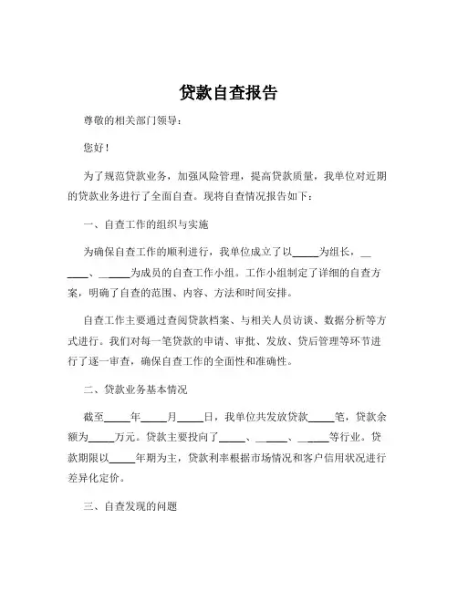 贷款自查报告