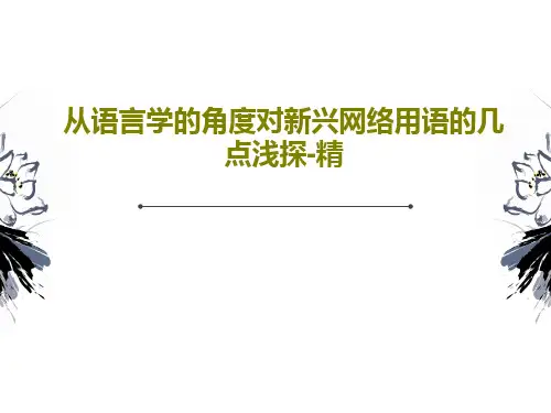 从语言学的角度对新兴网络用语的几点浅探-精PPT文档共29页