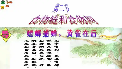 冀教版八下生物 7.食物链和食物网 课件(1)