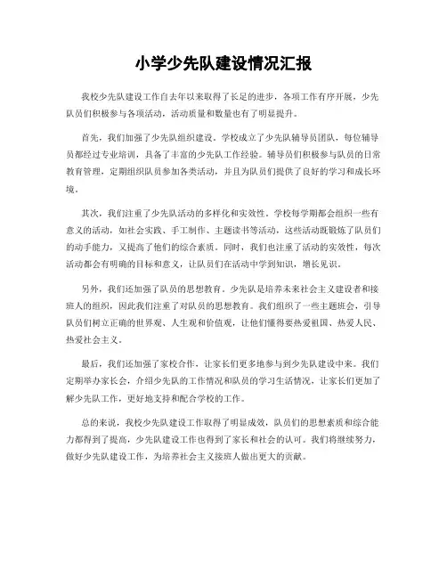 小学少先队建设情况汇报