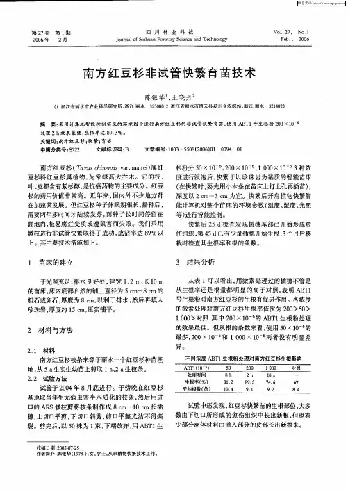 南方红豆杉非试管快繁育苗技术