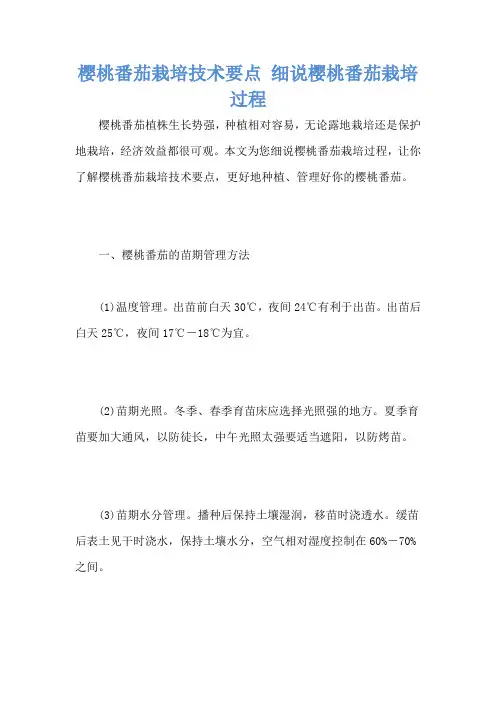 樱桃番茄栽培技术要点 细说樱桃番茄栽培过程