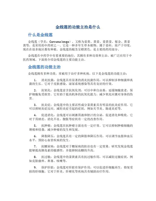 金线莲的功能主治是什么