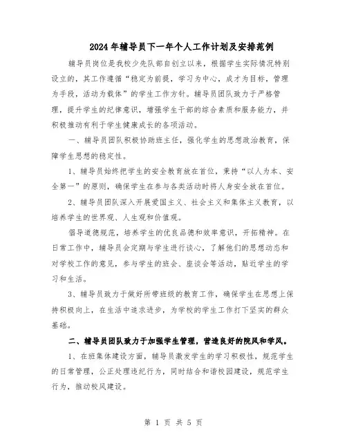 2024年辅导员下一年个人工作计划及安排范例（3篇）