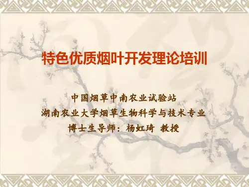 特色优质烟叶开发培训