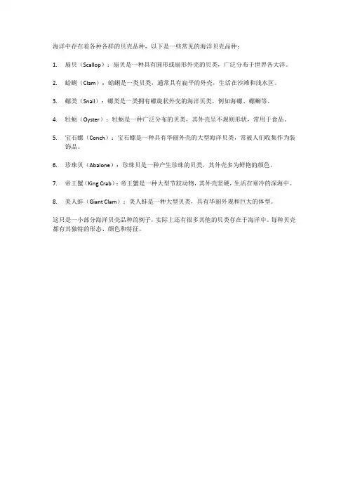 海里的贝壳品种
