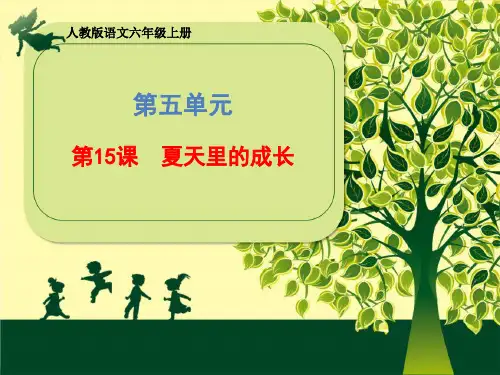 《夏天里的成长》课件(共43张PPT)