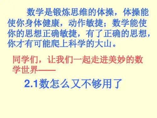 数怎么不够用了[上学期]--北师大版(2019)