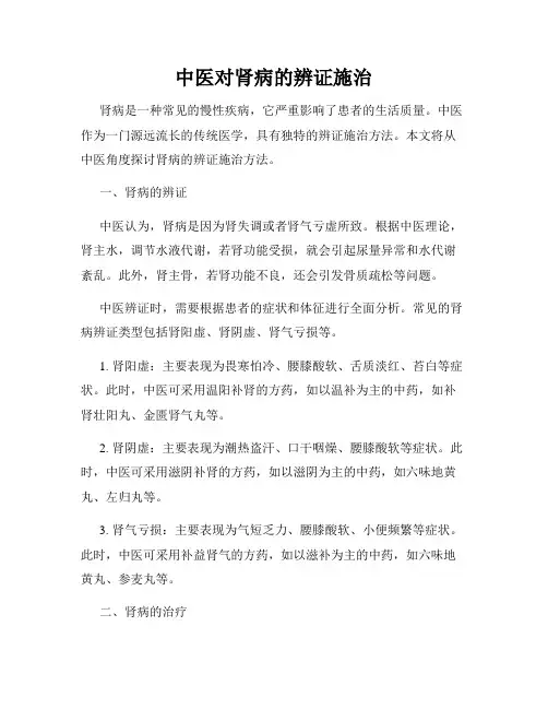 中医对肾病的辨证施治