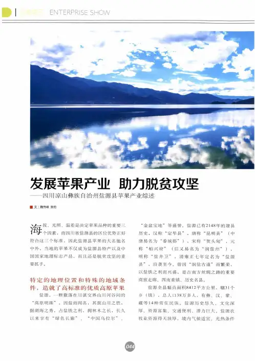 发展苹果产业助力脱贫攻坚——四川凉山彝族自治州盐源县苹果产业综述