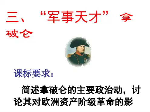 军事天才拿破仑