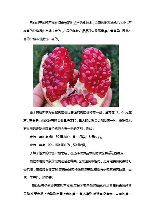 正宗软籽石榴苗价格