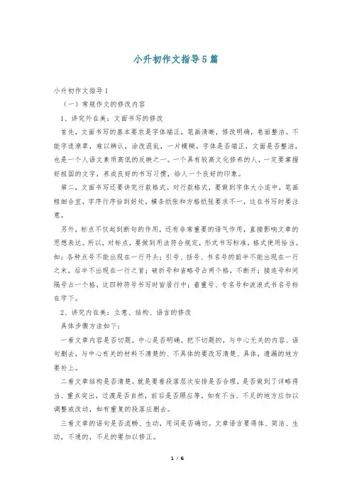 小升初作文指导5篇