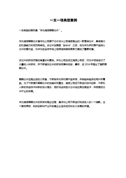一支一项典型案例