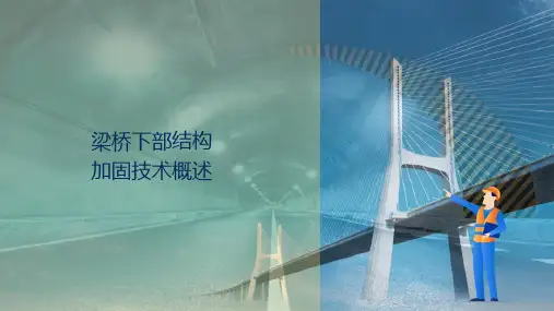 桥梁下部结构加固技术—梁桥下部结构加固技术概述