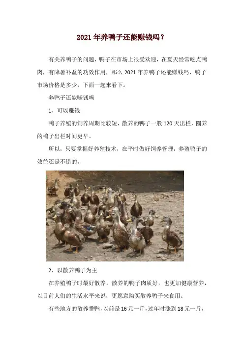 2021年养鸭子还能赚钱吗？