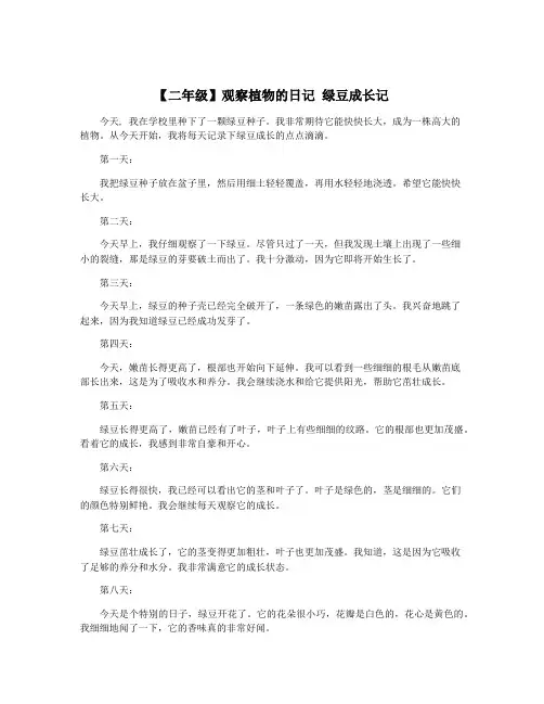 【二年级】观察植物的日记 绿豆成长记