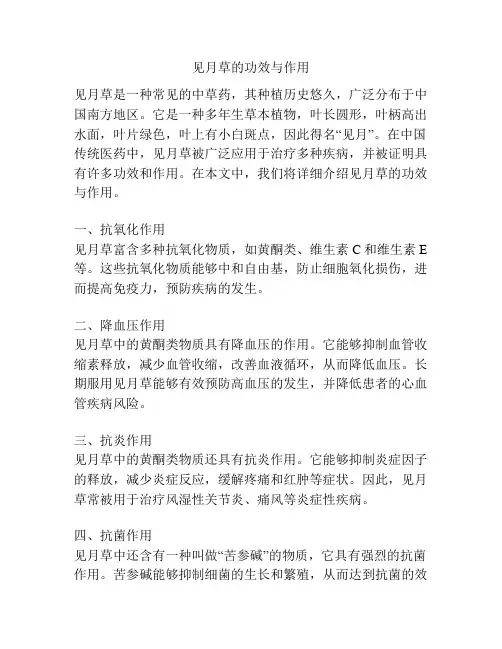 见月草的功效与作用