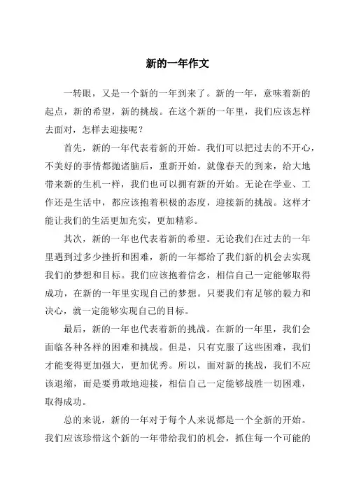 新的一年作文