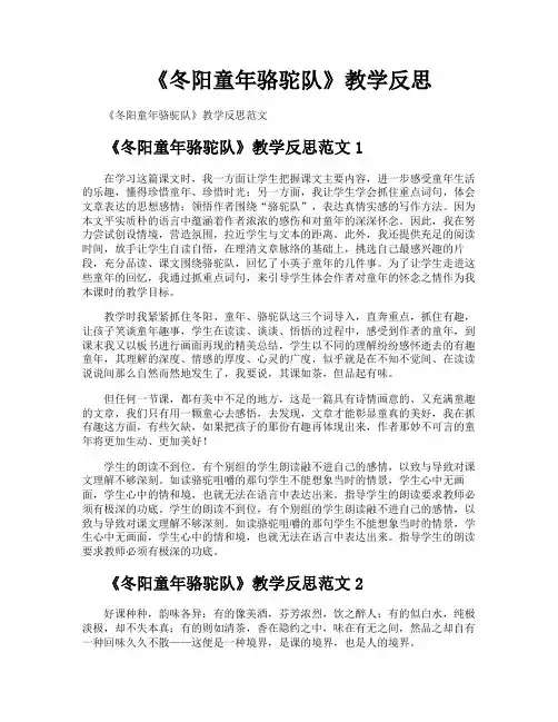 《冬阳童年骆驼队》教学反思