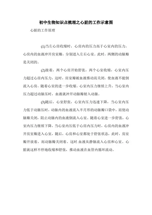 初中生物知识点梳理之心脏的工作示意图