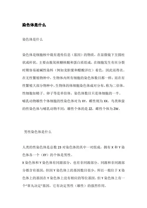 染色体是什么