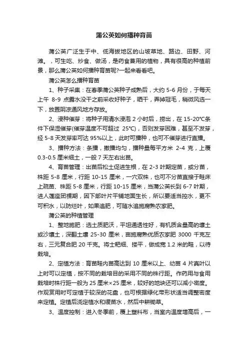 蒲公英如何播种育苗