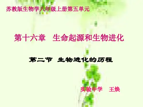 5.16.2生物进化的历程 (25张PPT)