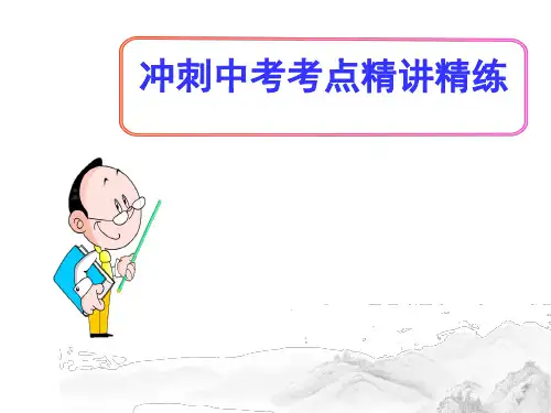 (名师整理)最新人教版数学冲刺中考《解直角三角形专题突破》考点精讲精练课件