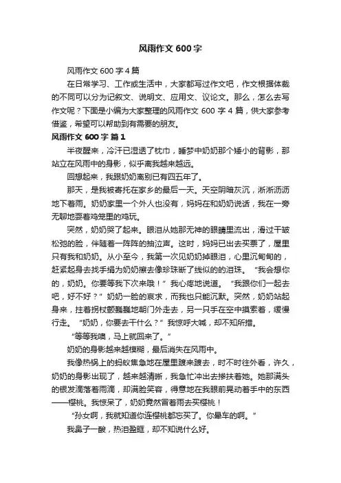 风雨作文600字4篇