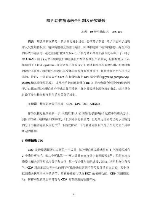 哺乳动物精卵融合机制及研究进展
