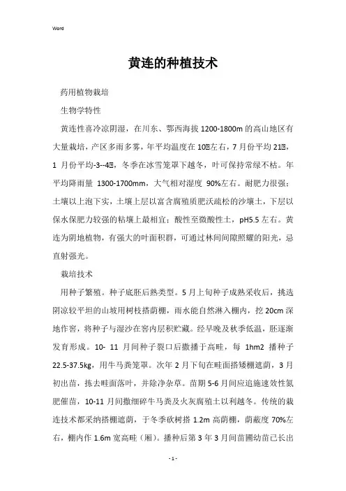 黄连的种植技术