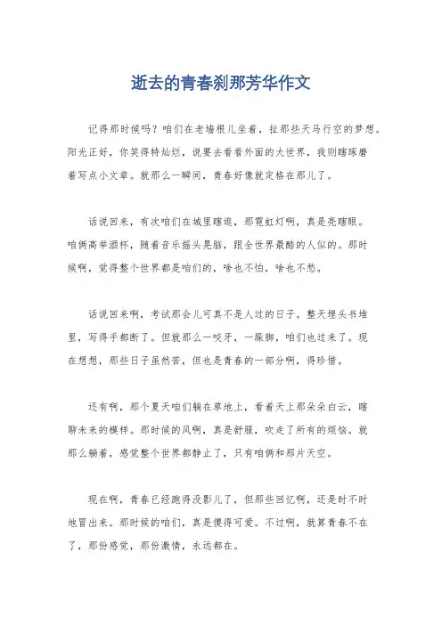 逝去的青春刹那芳华作文