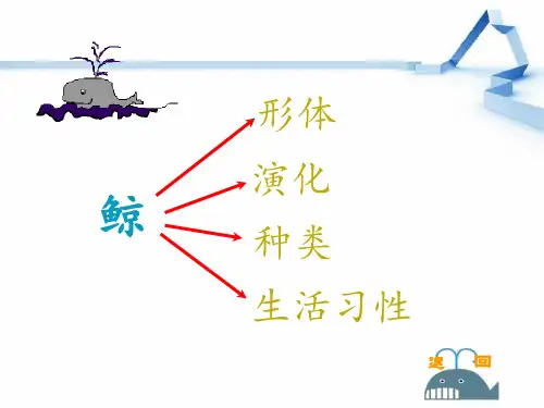 小学语文五年级上册鲸PPT课件