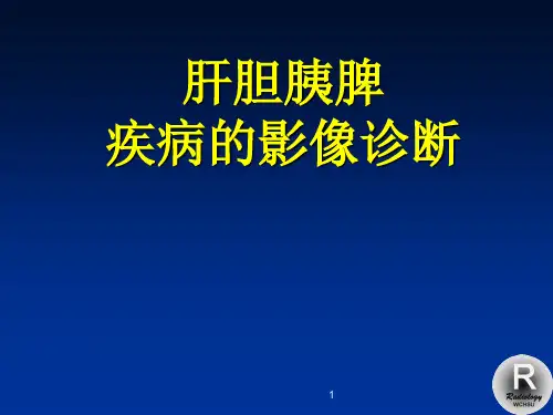 肝胆胰疾病的影像诊断ppt课件