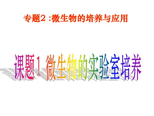 微生物的培养与应用(PPT-41)