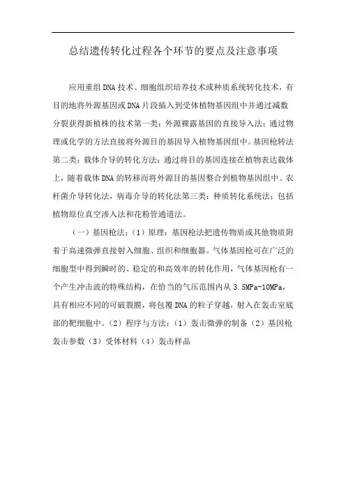 总结遗传转化过程各个环节的要点及注意事项
