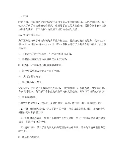大学生畜牧业实习报告