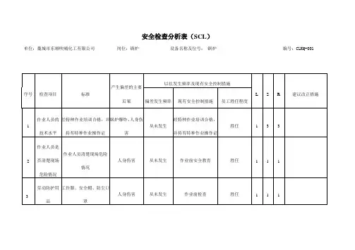 安全检查分析表(SCL)