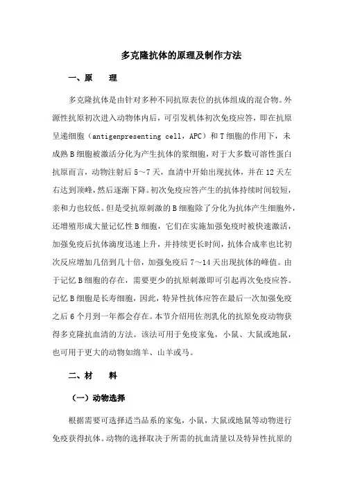 多克隆抗体的原理及制作方法