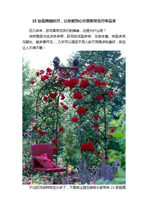 15款高颜值欧月，让你爱到心坎里附常见月季品类