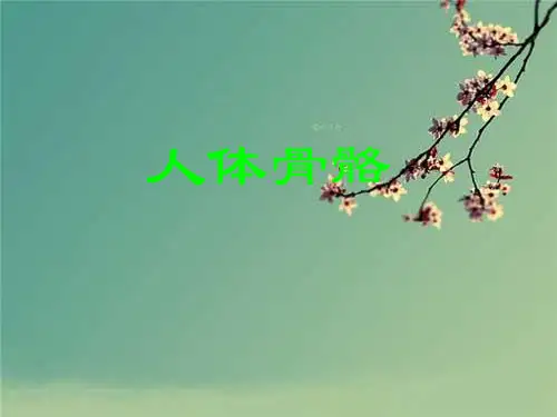 人体骨骼构成图解.ppt