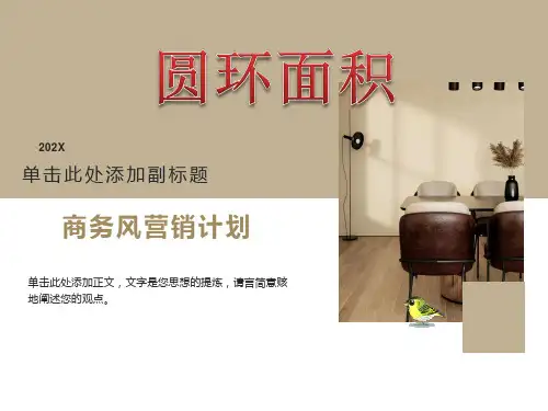 人教版小学六年级上册数学《圆环的面积》ppt