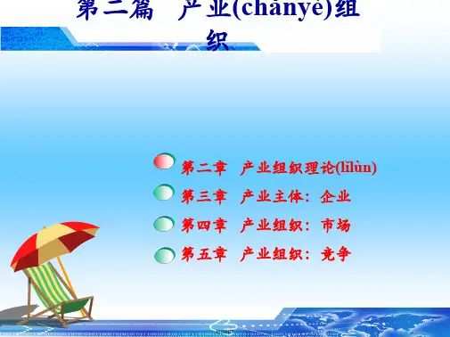 产业经济学02产业组织理论