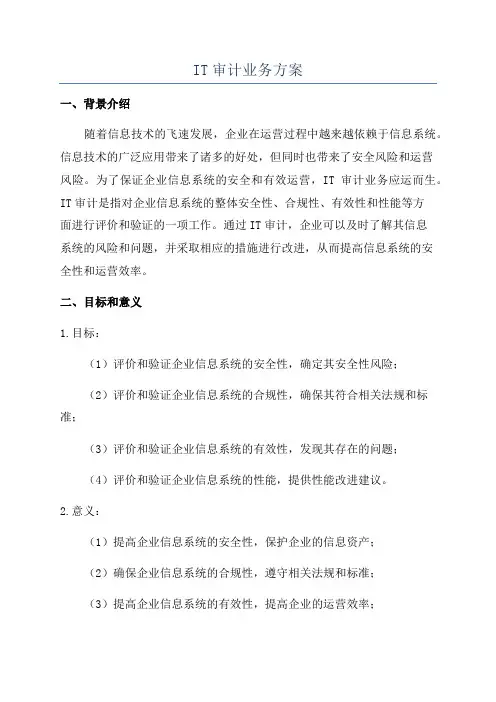 IT审计业务方案
