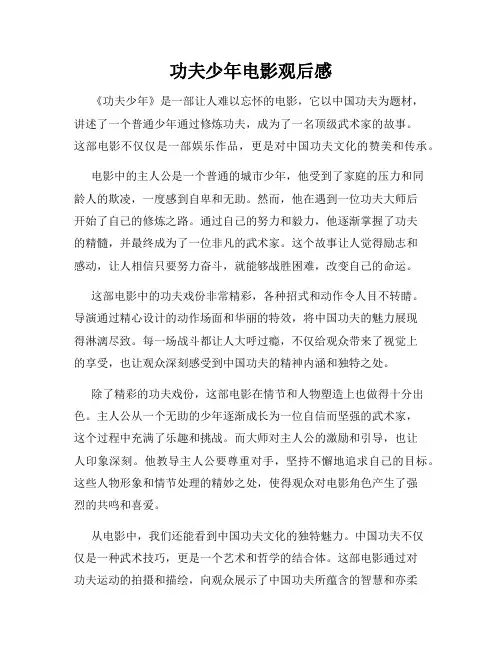功夫少年电影观后感